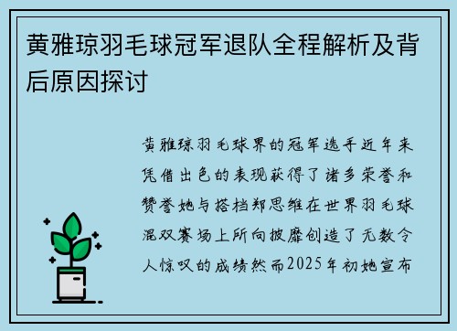 黄雅琼羽毛球冠军退队全程解析及背后原因探讨