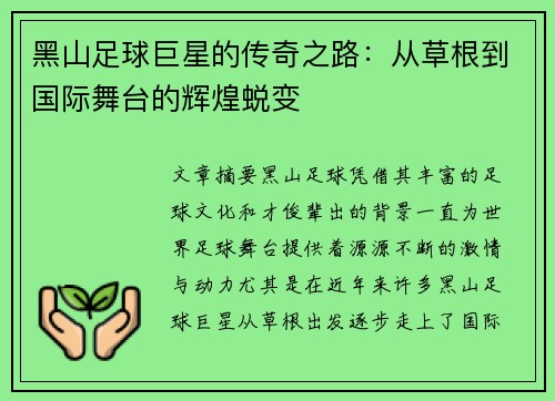 黑山足球巨星的传奇之路：从草根到国际舞台的辉煌蜕变