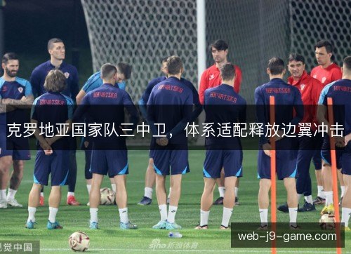 克罗地亚国家队三中卫，体系适配释放边翼冲击